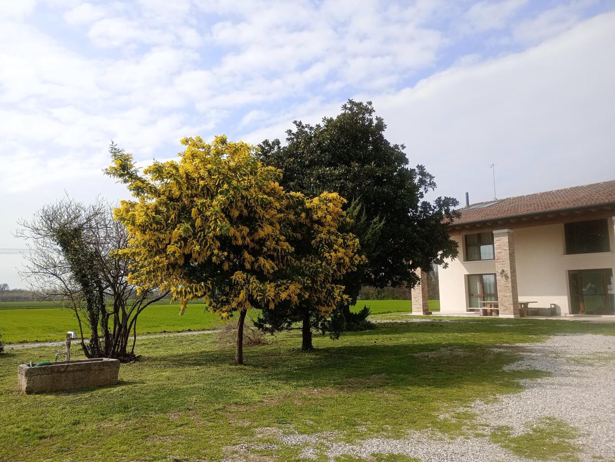 Agriturismo Trabucco カザーレ・スル・シーレ エクステリア 写真